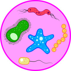 Vector microbes