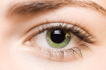 Obraz premium green eye