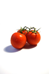 Tomaten