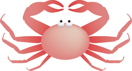 king crab