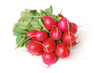Bund roter Radieschen mit grünen Blättern