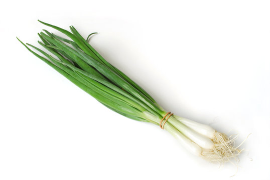 Ein Bund Fr&uuml;hlingszwiebeln isoliert