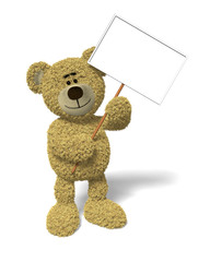 Nhi Bear holding a sign