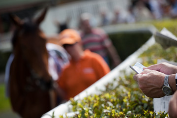 horse at gallop race at hippodrome