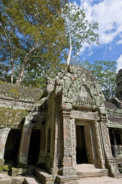 Ta Prohm temple within the Angkor Temples, Cambodia