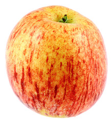 pomme gala, fond blanc
