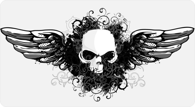 skull