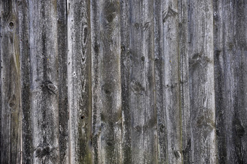 old lumber background