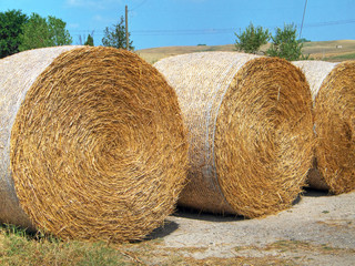 Rolling haystack.