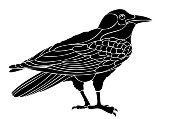raven vector
