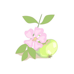 Simple organic sticker with apple and flower.