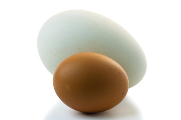 Goose egg and egg is isolated on the white