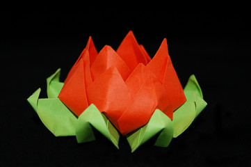 origami © Rachwalska Irena