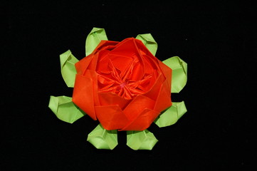 origami © Rachwalska Irena