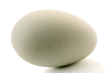 Goose egg