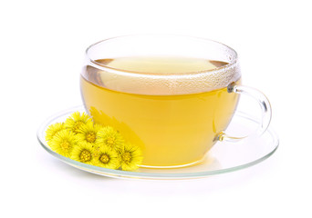 Tee Huflattich - tea Coltsfoot 04