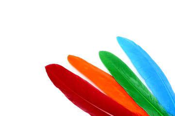 colored feathers