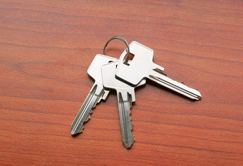 Bunch of keys toned on office table