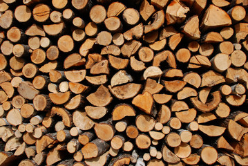 Pile of wood