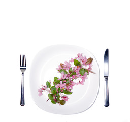Colorful flowers on a plate.