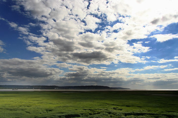 Pont de Normandie - Landschaft