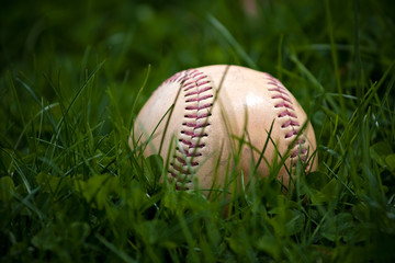 Old Baseball in the Grass