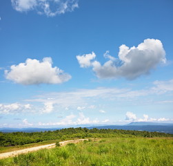 Obraz premium Grassland