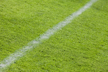 Fototapeta premium Clean empty football grass field