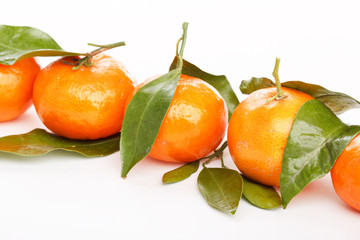 fresh mandarin fruits