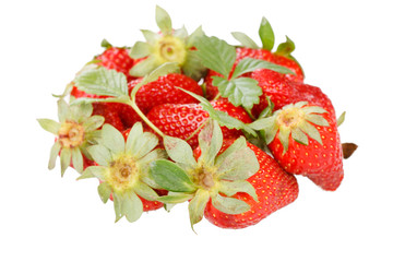 red strawberry with green leaves