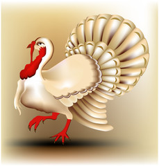 Vector turkey