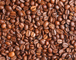 coffee beans