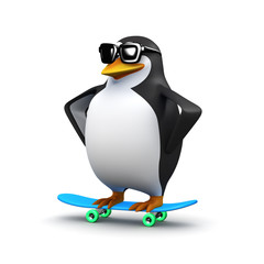 3d Skateboard penguin