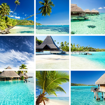 Collage of tropical images from moorea and tahiti