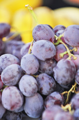 Trauben