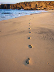 Footprints in the sand