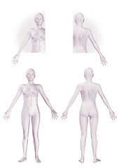 Cuerpo femenino