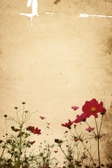 old flower paper textures