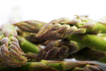 asparagus #4
