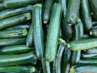 Fresh Zucchini