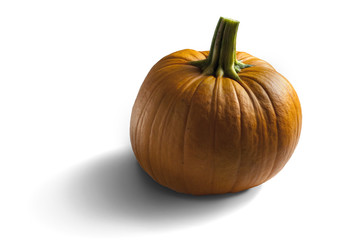 Pumpkin (Riesenkürbis)