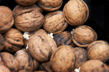 walnüsse und Jasmin 4