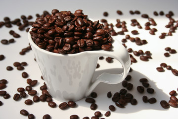 Fresh coffee beans in a white cup