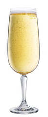 glass of champagne on a white background