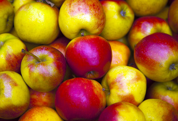 fresh apples in a store
