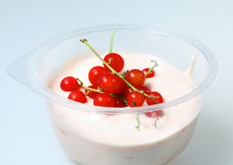 Red currant and milk  yogurt