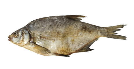 Dry fish isolated