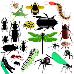 colored vector set of insects