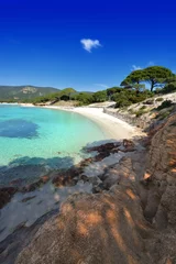 Printed kitchen splashbacks Palombaggia beach, Corsica plage