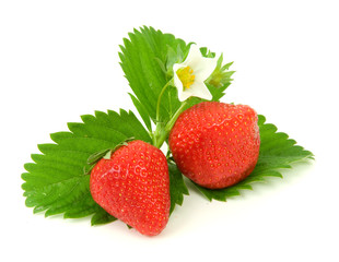 Fragola